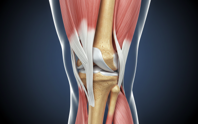 Keeping Your Joints Healthy: Simple Tips for Strength, Support, and Relief