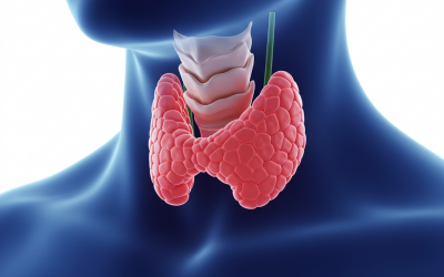 Feeling Tired All the Time? It Could Be Your Thyroid