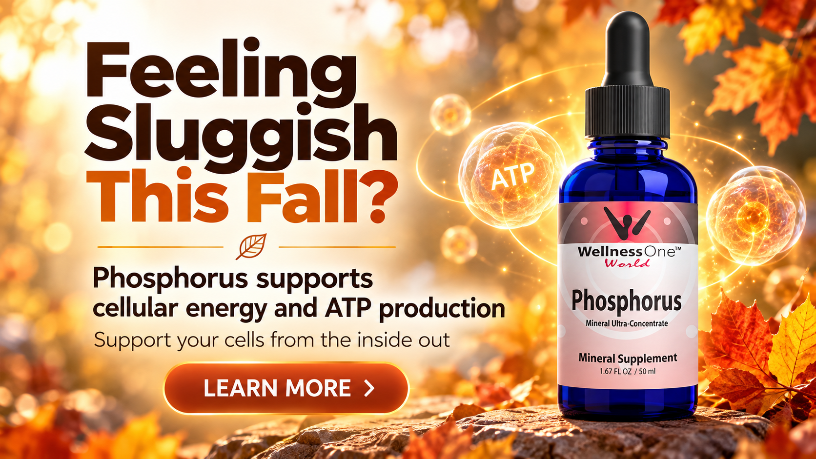 Fall Energy, Naturally Powered